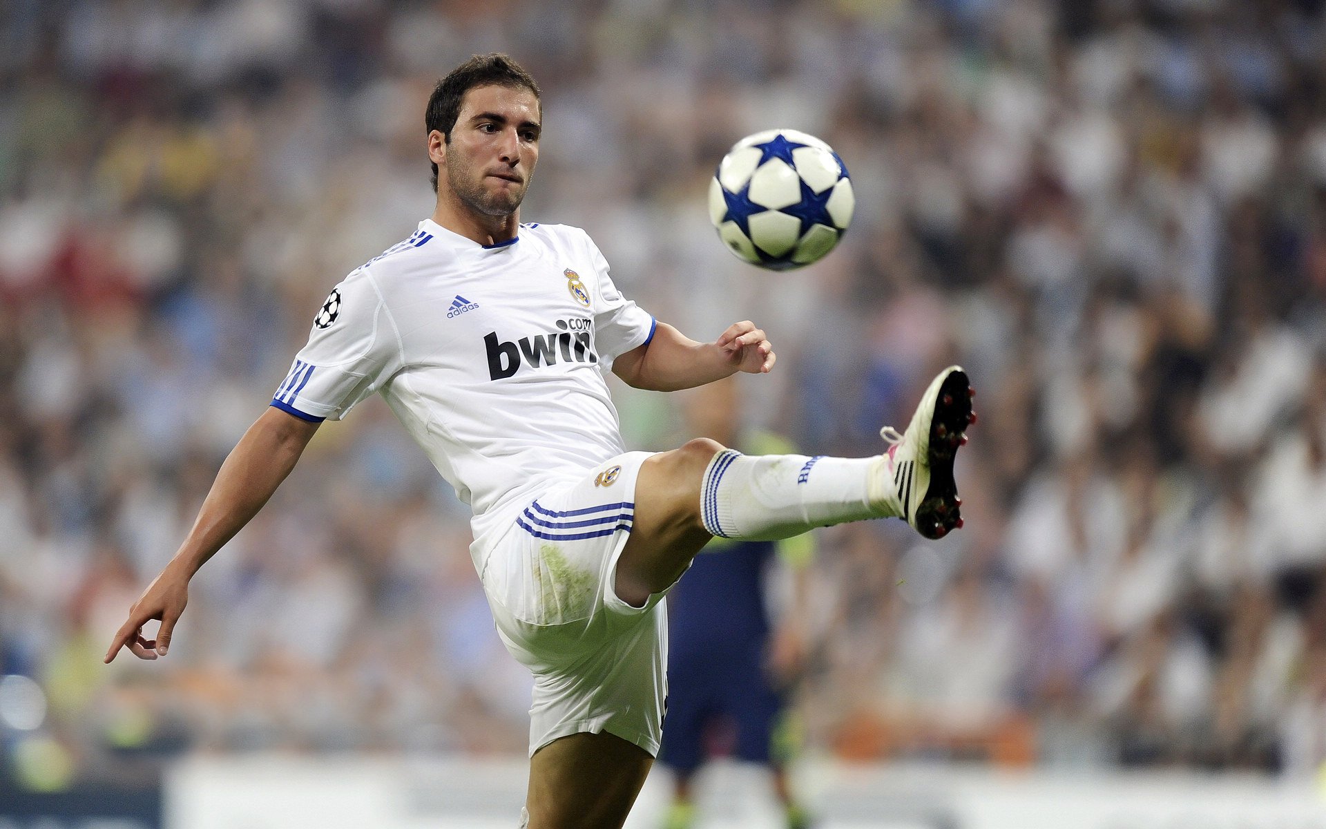 开云体育官方网站-欧冠决赛焦点战？澳大利亚狂胜拜仁？一场跨越时空的足球狂想